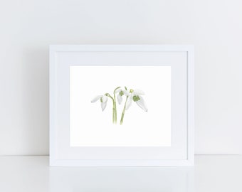 Snowdrop Wall Decor Botanical Watercolor Print Snowdrop Wall Art Flower Painting Snowdrop Floral Art Housewarming Gift