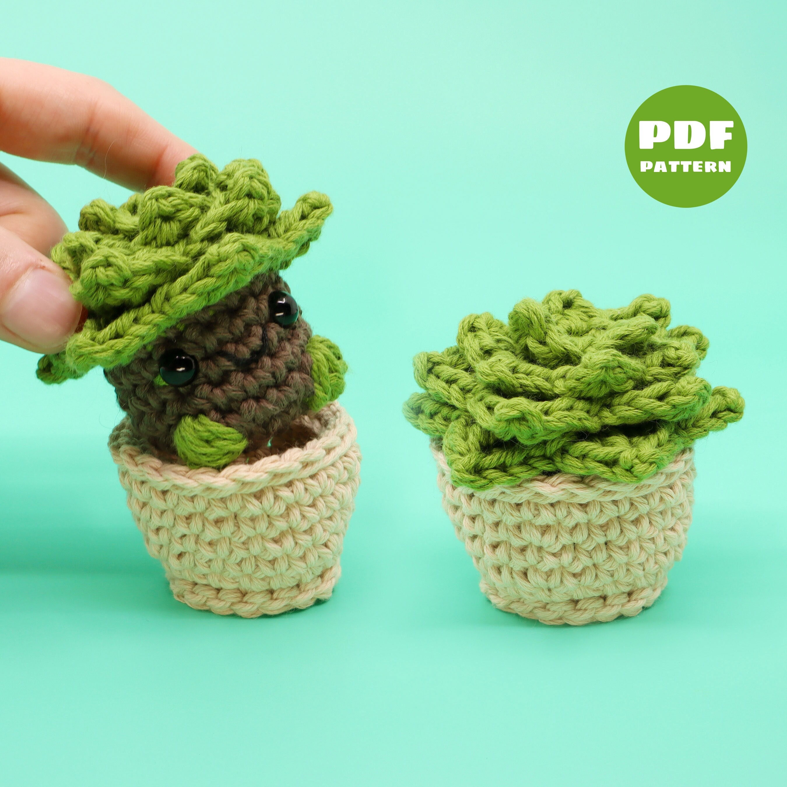 Succulent Planter Crochet Pattern - Plant Amigurumi Crocheting Tutorial - Interactive Digital PDF and Video Pattern