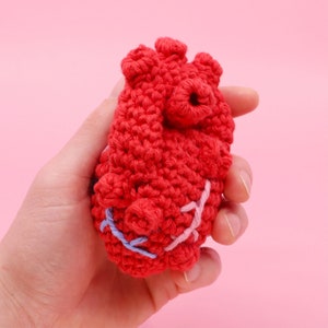 Crochet Anatomical Human Heart Pattern Easy Amigurumi Crocheting Tutorial Digital PDF and Video Step by Step Amigurumi Heart Pattern image 2