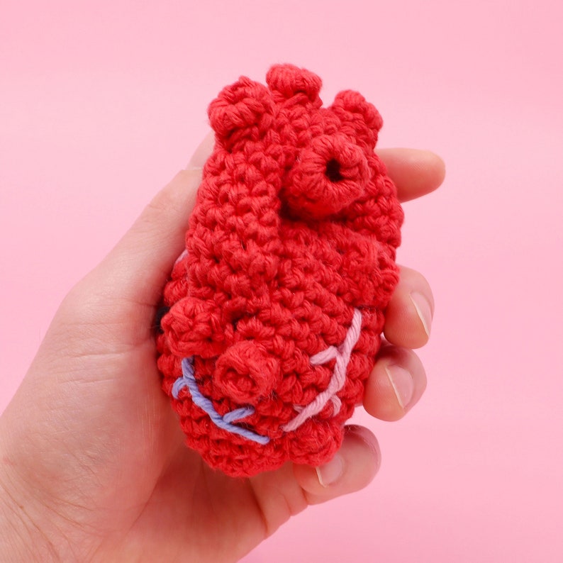 Crochet Anatomical Human Heart Pattern Easy Amigurumi Crocheting Tutorial Digital PDF and Video Step by Step Amigurumi Heart Pattern image 2