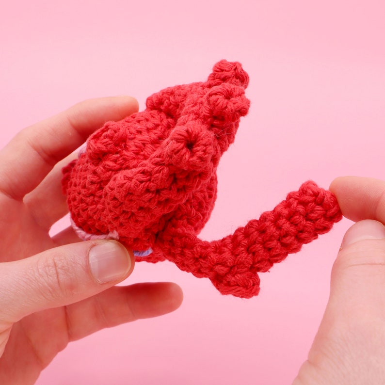 Crochet Anatomical Human Heart Pattern Easy Amigurumi Crocheting Tutorial Digital PDF and Video Step by Step Amigurumi Heart Pattern image 6