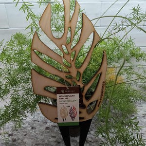 May include: A wooden Monstera leaf-shaped trellis with a black stake base, designed for houseplants. The trellis has cut-out details and a brown tag that reads "HOUSEPLANT TRELLIS MONSTRELLA". The trellis is placed in a pot with green plants.