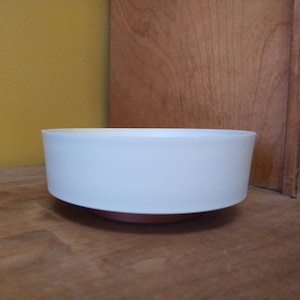 May include: A white ceramic bowl with a rounded rim and a light brown base. The bowl is sitting on a wooden surface.