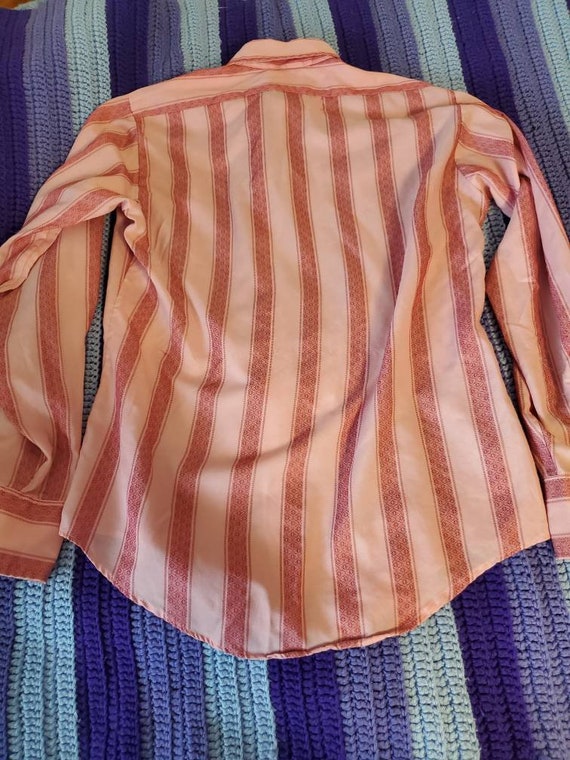 Vintage Dagger Collar Shirt 1970s Van Heusen Gem