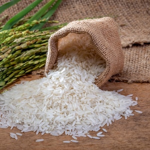 May include: A hessian sack, tipped over, spilling white rice onto a wooden surface. Green rice stalks are visible on the left. The rice is long-grain and appears uncooked. The background includes more hessian.