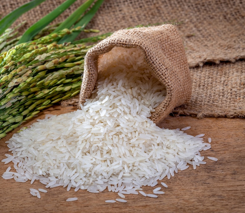 May include: A hessian sack, tipped over, spilling white rice onto a wooden surface. Green rice stalks are visible on the left. The rice is long-grain and appears uncooked. The background includes more hessian.