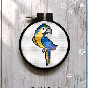 Puede incluir: Patrón de punto de cruz contado de un loro azul y amarillo, con el texto "My Little Parrot" y "PDF" debajo de la imagen.
