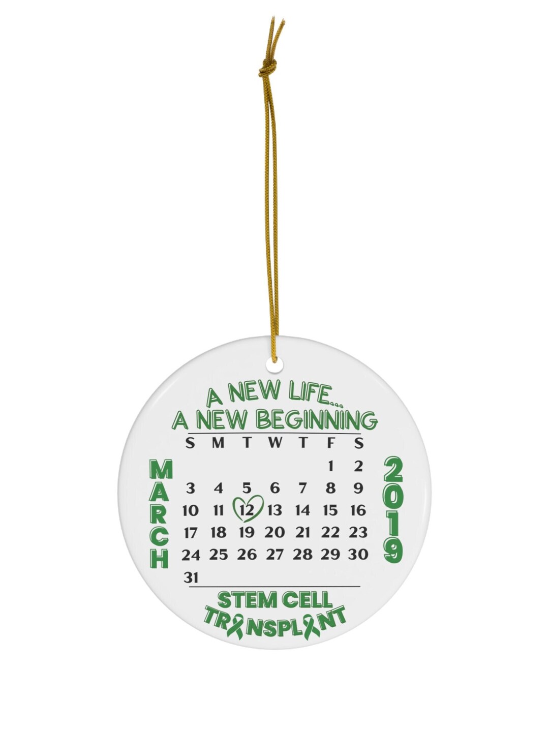 Stem Cell Organ Transplant