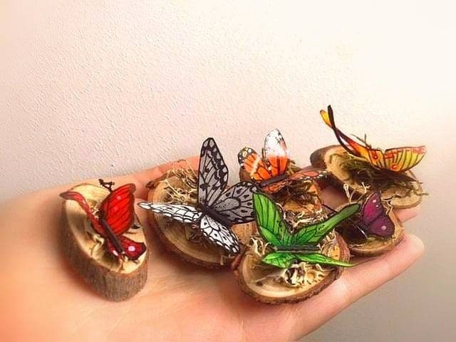Papillons Miniatures