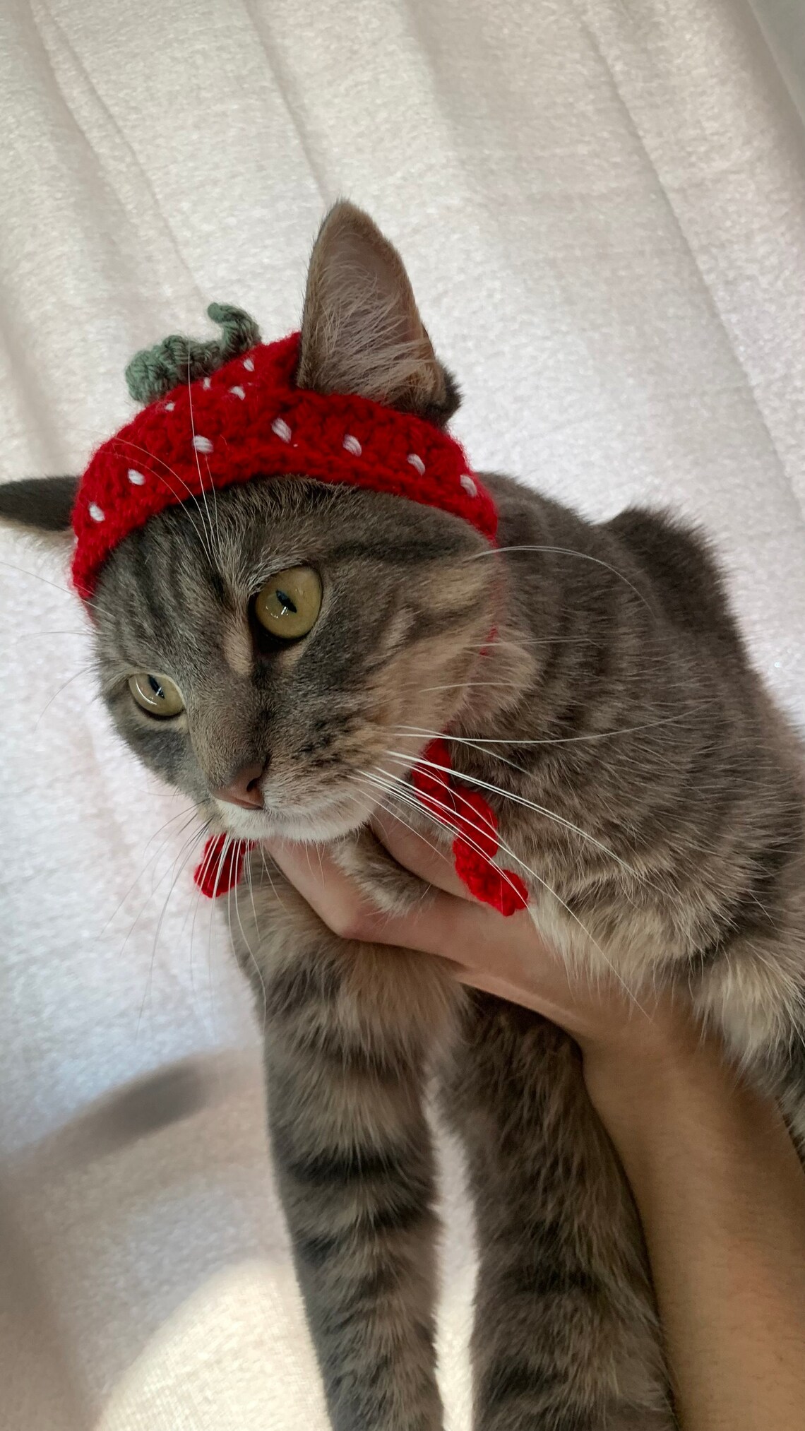 Strawberry Crochet Cat Hat Etsy