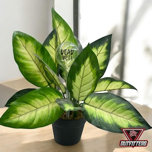 Funny Plant Watering Globe: Personalized Garden Gift