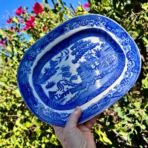 May include: An oval blue and white ceramic platter with a Willow pattern design. The platter features a detailed landscape scene with pagodas, trees, and figures. The rim has a decorative border. The platter is held against a background of green foliage and a blue sky.