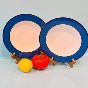 PAGNOSSIN Trevino Ironstone, Set of (2) Rim Soup, Pasta or Salad Bowls, Vibrant BLUE, Made in ITALY, Collectible Charming Cozy Kitchen, Gift