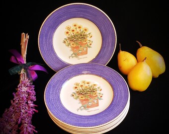 May include: A set of four purple and white ceramic dinner plates with a floral design. Each plate features a potted plant with yellow flowers and green leaves. The text "Tagetes patula" is printed on the bottom of each plate.