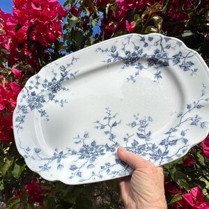 May include: A white, oval serving platter with a scalloped edge. The platter is decorated with a blue floral pattern. The platter is being held in front of a background of pink flowers and green leaves.