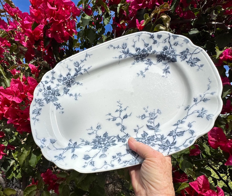 May include: A white, oval serving platter with a scalloped edge. The platter is decorated with a blue floral pattern. The platter is being held in front of a background of pink flowers and green leaves.