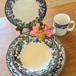 SPODE DELAMERE BLACK Plate/Bowl/Mug: Vintage English Transferware