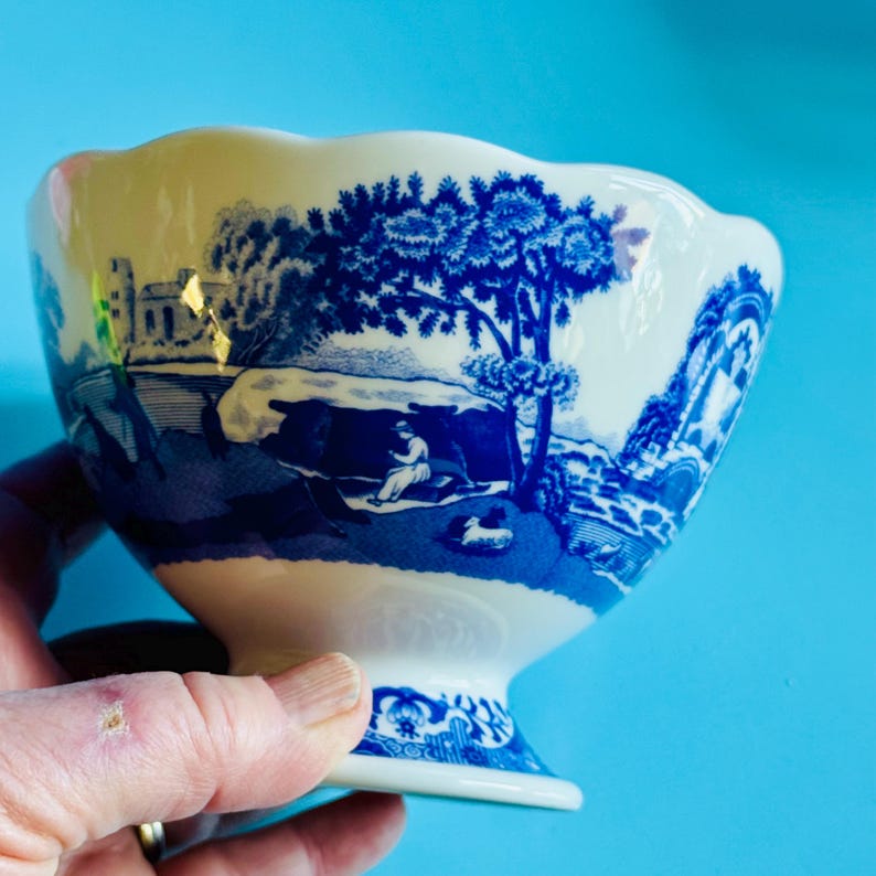 May include: A white and blue ceramic bowl with a scalloped rim. The bowl features a blue landscape scene with trees, figures, and buildings. The bowl is held by a hand against a blue background.