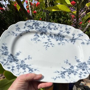 May include: White oval serving platter with a blue floral pattern. The platter has a scalloped edge and is decorated with detailed blue floral and vine designs. A classic piece for serving food.