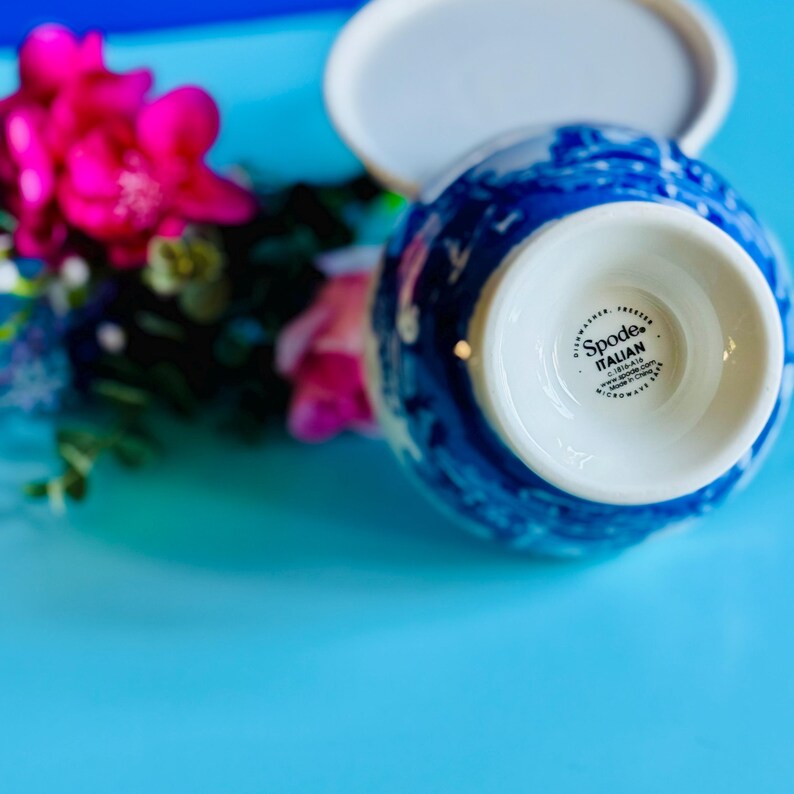 May include: A Spode Italian ceramic bowl with a blue and white design, and a white base. The bowl is partially visible, with the base showing the "Spode Italian" logo. The bowl is on a blue surface, with pink flowers in the background.