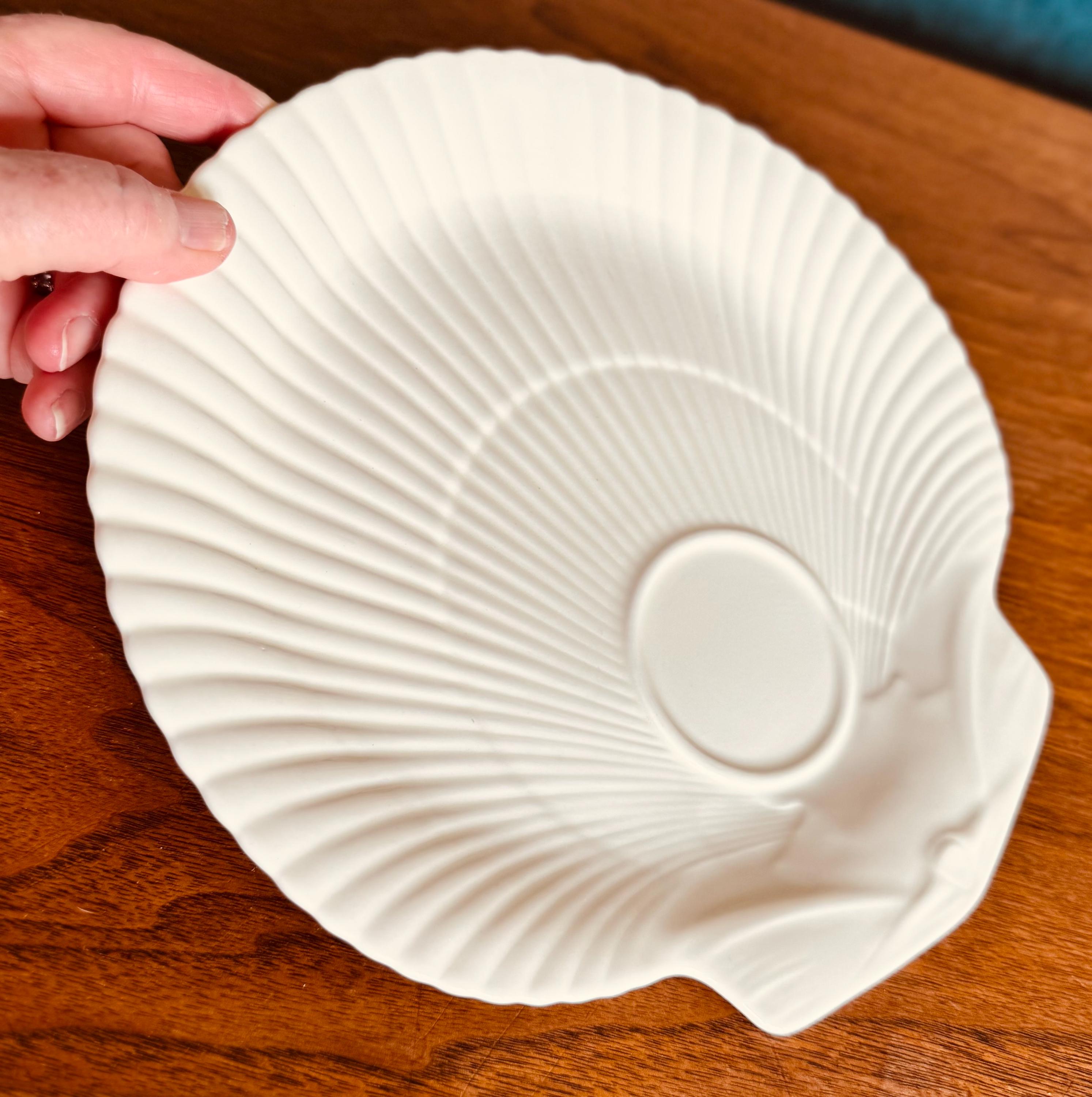 Wedgwood Nautilus Shell - Etsy