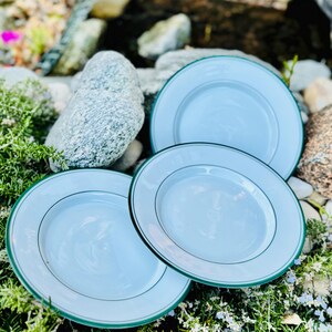 May include: Three white ceramic plates with a light blue center and a green rim. The plates are arranged outdoors on a bed of greenery and rocks. The plates have a simple, elegant design.