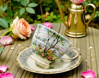 Vintage Royal Albert Teacup & Saucer Set ~ “SILVER BIRCH” ~ Bone China, Made in England