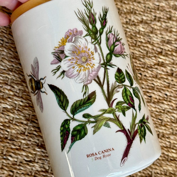 PORTMEIRION BOTANIC GARDEN Dog Rose Canister, 7 Inches Tall, Kitchen Storage, Decorative Organization, Desk-Top Container, Housewarming Gift