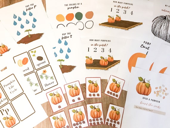 Pumpkin Preschool unit 10 pages