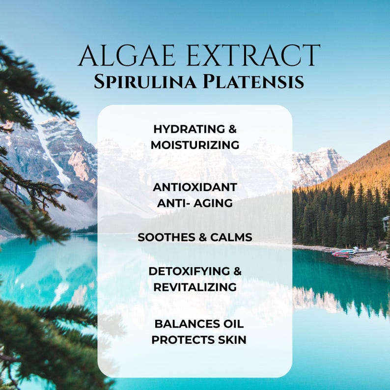 Botanical Seaweed Face Serum: Red Algae, Spirulina, MSM - “Lady of the Lake” 1OZ. image 10