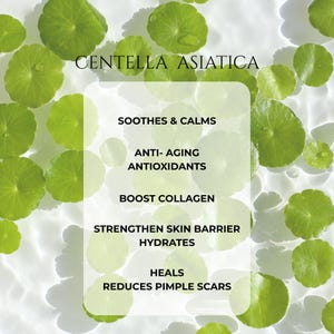 Sea Kelp Face Serum: Anti-Aging, Nourishing, and Firming “Jaded Siren” - 1oz afbeelding 9