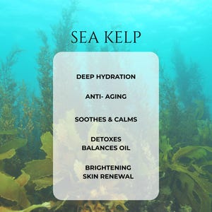 Jaded Siren Face Serum: Anti-Aging Elixir with Sea Kelp (5ML Sample) Bild 13