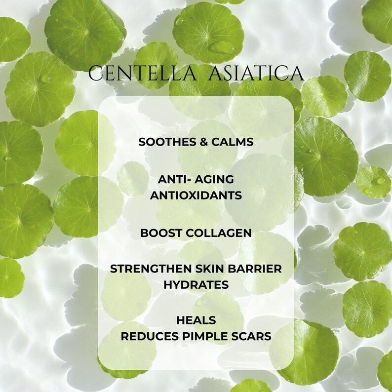 Jaded Siren Face Serum: Anti-Aging Elixir with Sea Kelp (5ML Sample) Bild 11