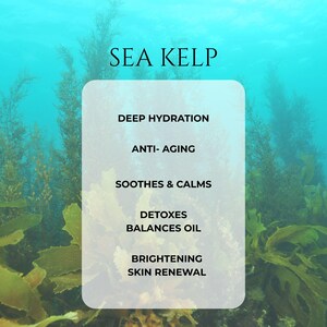 Jaded Siren Youth Serum: Sea Kelp Anti-Aging Facial Serum (1 OZ) imagem 11