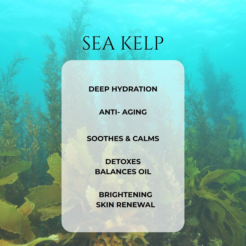 Jaded Siren Youth Serum: Sea Kelp Anti-Aging Facial Serum (1 OZ) imagem 11
