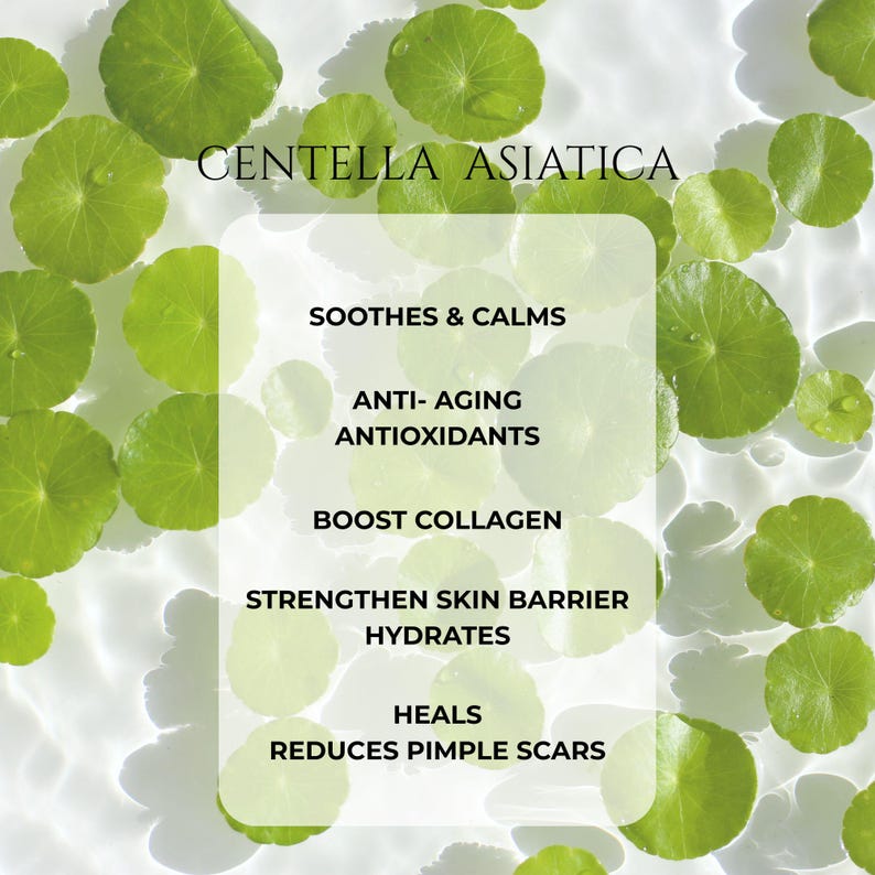 Botanical Seaweed Face Serum: Red Algae, Spirulina, MSM - “Lady of the Lake” 1OZ. image 11