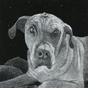 Portrait d'animal de compagnie personnalisé ou oeuvre d'art de chien | Cadeau pour amoureux des chiens, portrait de chien personnalisé, portrait d'animal de compagnie personnalisé commémoratif, portrait d'animal de compagnie à partir d'une photo