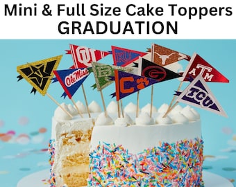 Graduation High School College Mini Cake toppers Pennant Flags