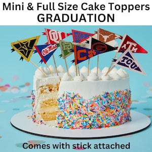 Graduation High School College Mini Cake toppers Pennant Flags