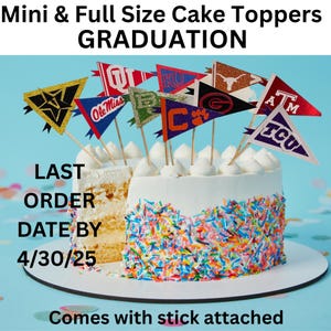 Graduation High School College Mini Cake toppers Pennant Flags