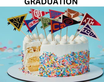 Graduation High School College Mini Cake toppers Pennant Flags