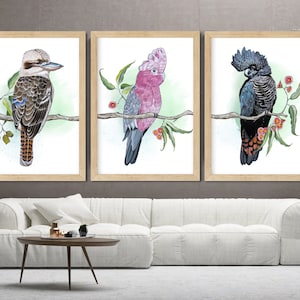 Juego de 3 impresiones en acuarela de aves nativas australianas, cacatúa kookaburra, galah, decoración de aves coloridas, arte de aves, decoración de sala de estar