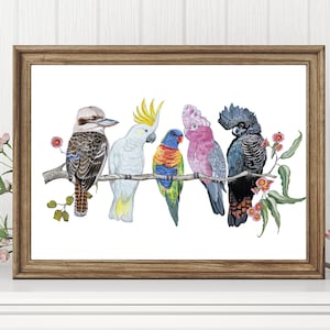 Australian Native Bird Print Kookaburra Black Cockatoo Rainbow Lorikeet Galah Australian Print Native Bird Art Watercolor bird Print, Gift