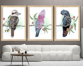 May include: Three framed art prints featuring watercolor illustrations of Australian birds. The prints showcase a kookaburra, a pink and gray Major Mitchell's cockatoo, and a black cockatoo, each perched on a branch with red flowers and green leaves.