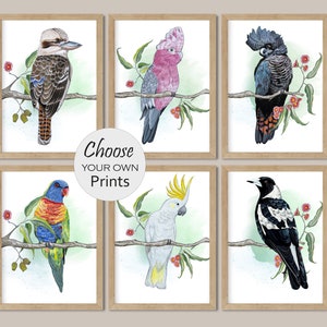 May include: Six framed watercolour paintings of Australian birds, each bird perched on a branch with green leaves and pink flowers. The birds are a kookaburra, a pink and grey galah, a black cockatoo, a rainbow lorikeet, a white cockatoo, and a magpie.