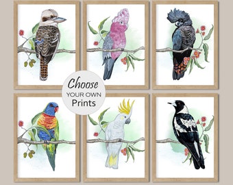 Puede incluir: Seis pinturas de acuarela enmarcadas de pájaros australianos, cada pájaro posado en una rama con hojas verdes y flores rosas. Los pájaros son un kookaburra, un cacatúa rosa y gris, un cacatúa negro, un lori arcoíris, un cacatúa blanco y una urraca.