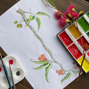 Pu&ograve; includere: Dipinto ad acquerello di un ramo di eucalipto con foglie verdi e fiori rossi. Una tavolozza di acquerelli e pennelli sono accanto al dipinto su una superficie di legno. Il dipinto raffigura un tema botanico.