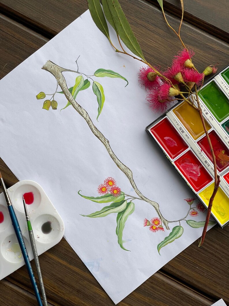 Pu&ograve; includere: Dipinto ad acquerello di un ramo di eucalipto con foglie verdi e fiori rossi. Una tavolozza di acquerelli e pennelli sono accanto al dipinto su una superficie di legno. Il dipinto raffigura un tema botanico.