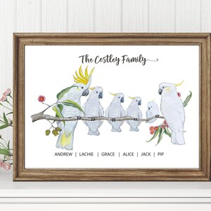 Pu&ograve; includere: Una stampa incorniciata con un'illustrazione ad acquerello di una famiglia di cacatua bianchi appollaiati su un ramo. Il testo "The Costley Family" &egrave; sopra gli uccelli, con i nomi sotto. La cornice &egrave; marrone.
