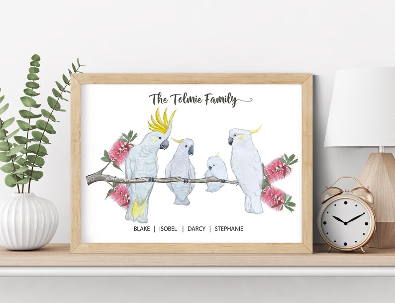 Pu&ograve; includere: Una stampa ad acquerello incorniciata con una famiglia di cacatua bianchi appollaiati su un ramo con fiori rosa. Il testo "The Tolmie Family" &egrave; sopra gli uccelli, con i nomi sotto. La cornice &egrave; marrone chiaro.